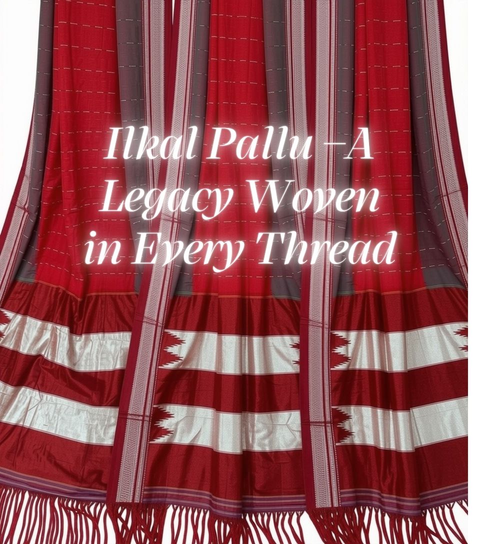 Border and pallu detail